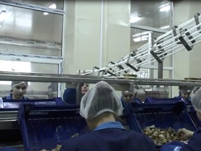 Гравитационная направляющая для пустой жестяной тары в Лангепасе